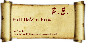 Pellikán Erna névjegykártya